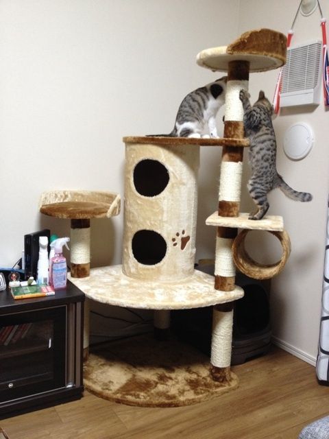 {B0F28C3C-EFA4-45C3-99B4-84CD63883D4D:01}