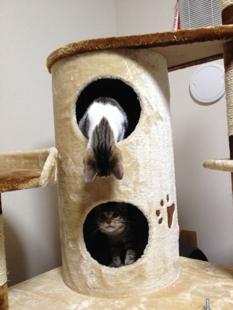 {2E71BAD5-8391-45AE-9523-4E8EC23E76E5:01}