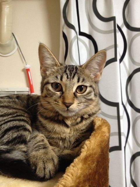 {C2C94C89-2739-424C-B393-86830D65940F:01}