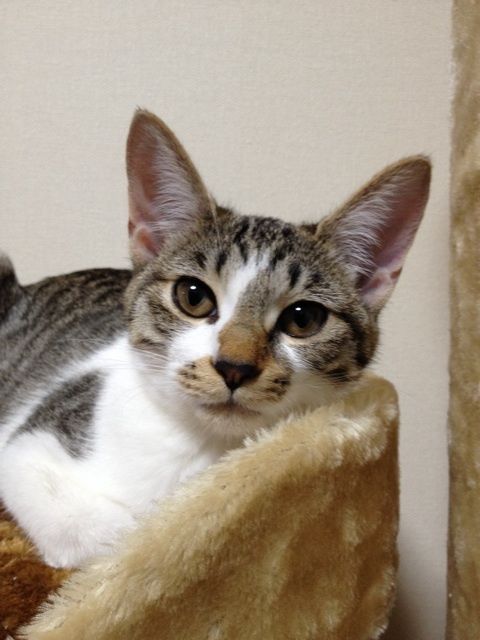 {A393202C-D5A0-4ECE-B69B-DD4B48EE776F:01}