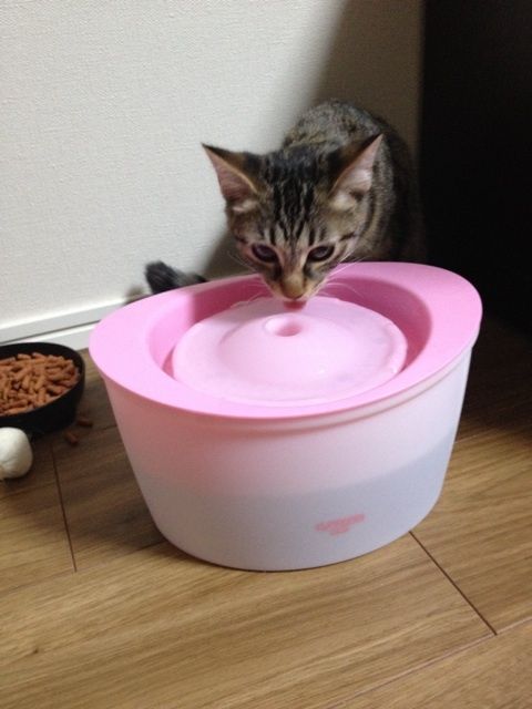 {B21F4FBD-402D-4DBE-AAF9-C2AA983C04EC:01}