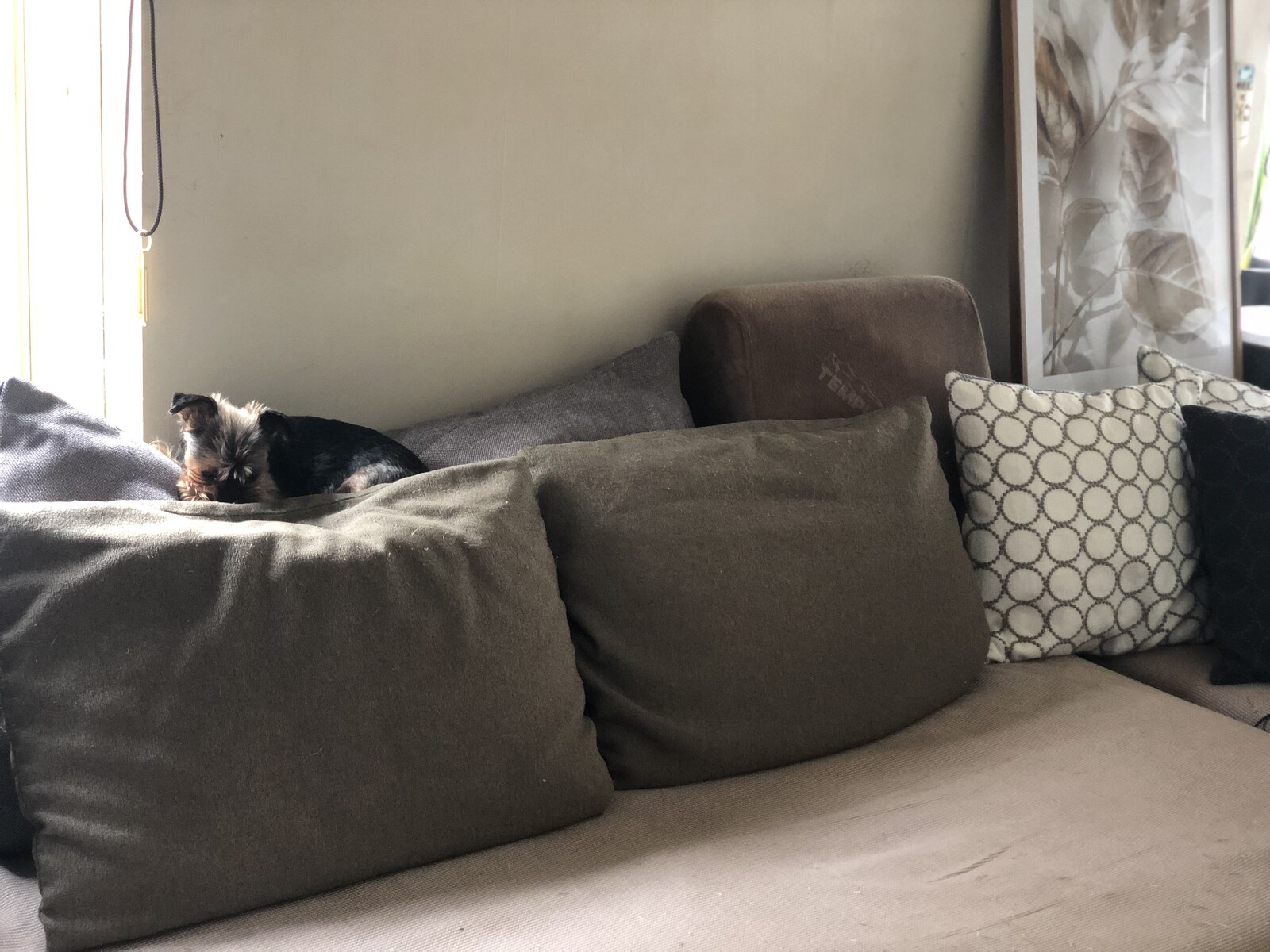 カインズホームで見つけた我が家にとっての救世主 シンプルに憧れて Powered By ライブドアブログ カインズホームで見つけた我が家にとっての救世主 シンプルに憧れて Powered By ライブドアブログ