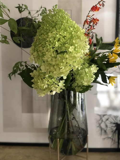 95E1648E-E336-4B7A-BEF0-EDD46379E2CD