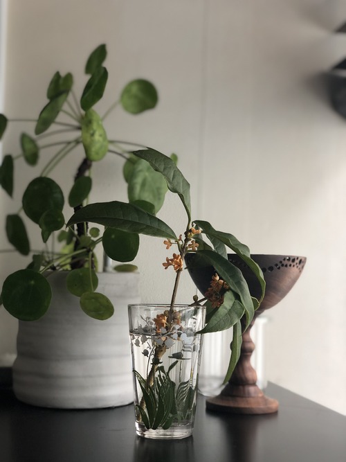 D3012FDA-1E37-4706-8DB8-6A584CF869E5