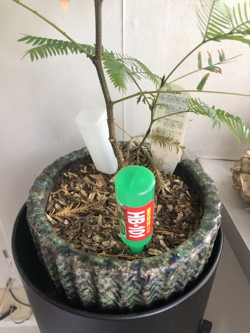 7294EFB2-3579-41AC-B5FC-F8EAA39F49F1