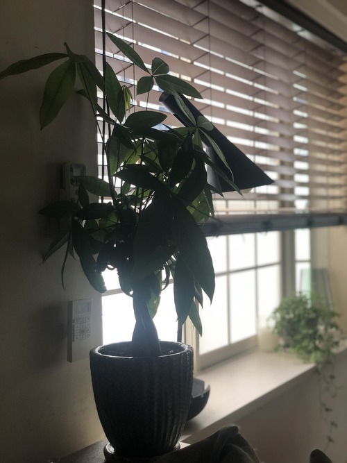 8FCC2ADE-838A-4604-9CF3-10F46B17B43A