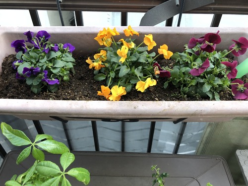 7B9122DF-D683-43FB-A0DE-521281FCE190