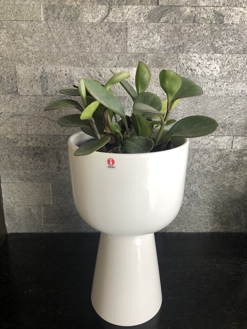 7FE84F78-6B06-44DA-878E-528B67795826