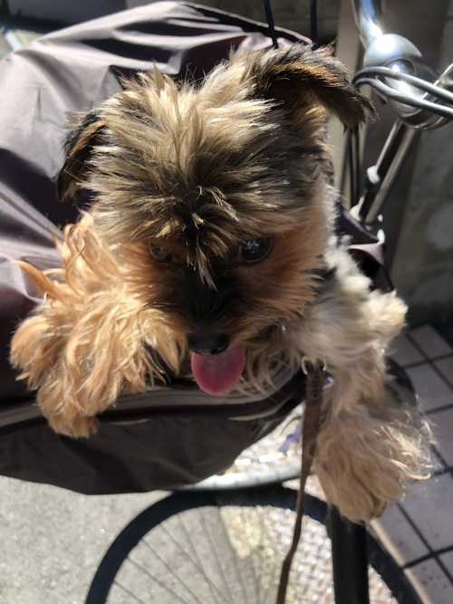 452BDCFE-5F67-43A0-8A62-2F64AE449ED0