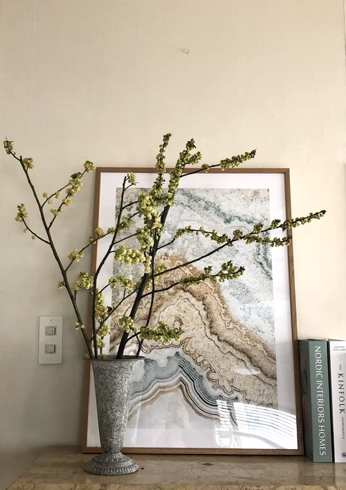 4265D7C1-378F-4358-B7C1-ED881048F2FB