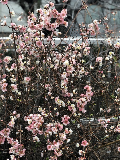 87B6EA76-E214-4F3B-B7D1-EEAC67F63286