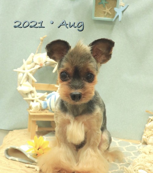 7FC889A1-A2A9-49CD-AE6E-886F3B19BCA6