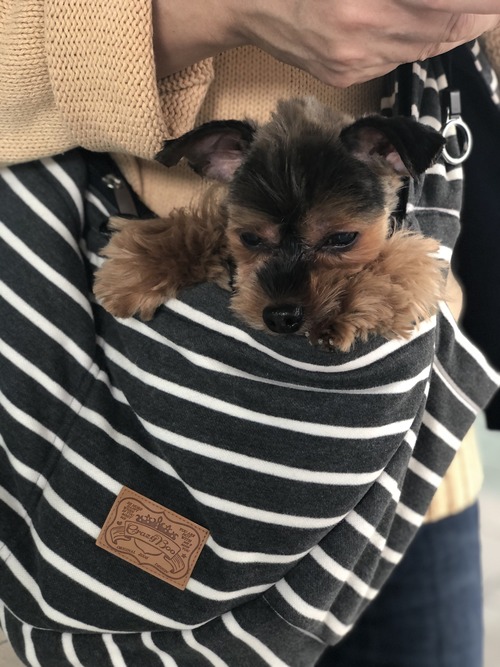 AAD9FE52-B552-4A92-9A1C-23777CD325D9