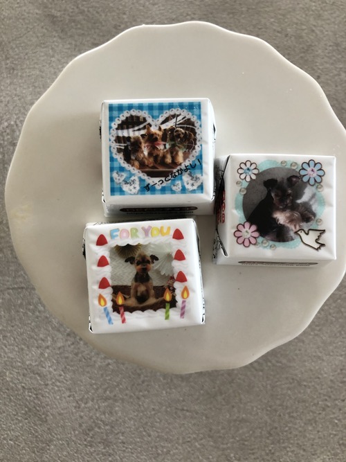 82B6C6B2-387A-4344-81E3-0E0CC3AECB4F