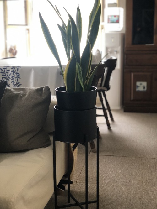 B8C4CCF9-24F3-43A4-8DBA-2EB4A259372A