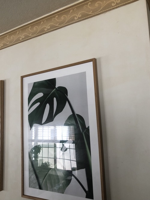 94BFE633-5D5A-4F3E-ABC9-063BAC80013F