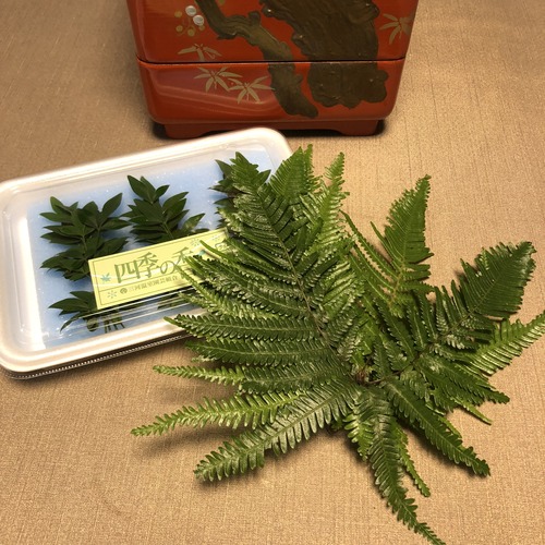 0AFB5FC4-65C3-4C51-AC28-59D7EB85AC3A