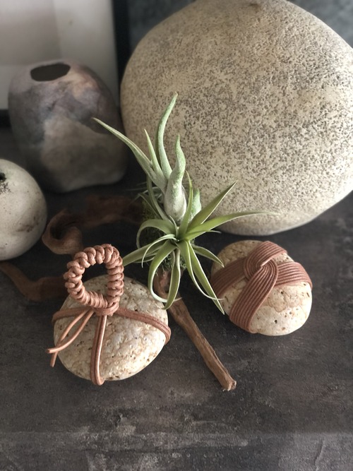 90EE726B-EB3E-4F67-B9C4-94BB0874D8C5