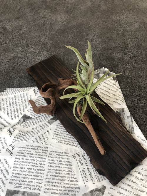 F153C8A7-D6EE-44FC-B402-CD82AF29710F