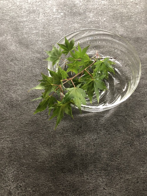 0158BFFD-F823-473B-95E1-B7D241E4BB07