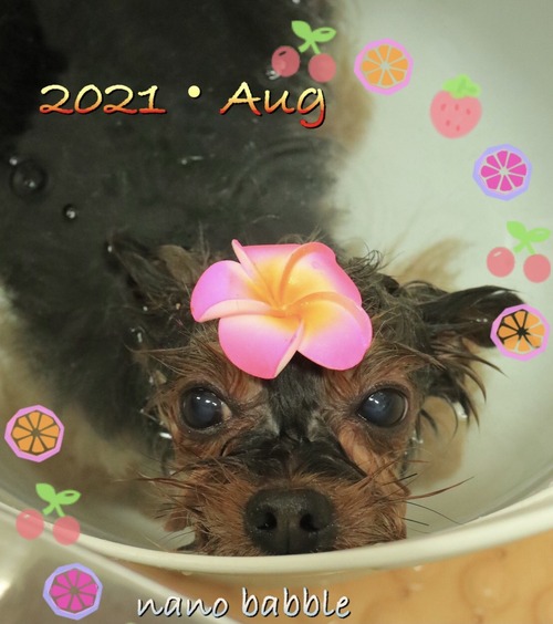 2DF904A5-8649-43DA-8945-A81C3CA66C7E