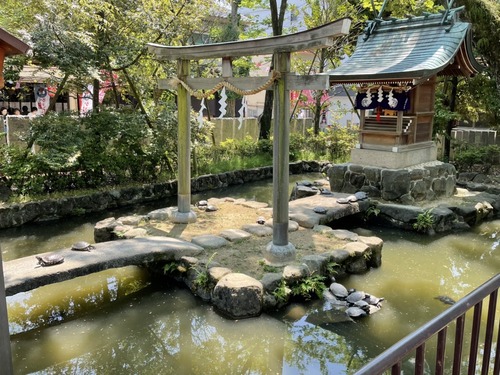 31CA4D76-5BFB-4F95-A1FF-127BB3A941A5