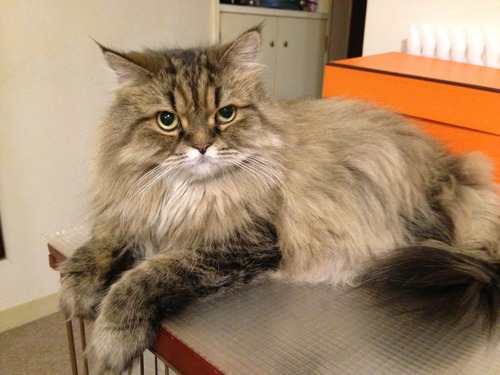 5363EDF1-6B57-4698-A3F8-A42BD0AE5D21