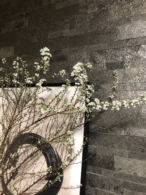 FA73DE10-AA4F-4EF9-BF98-CEB42E3AF46A