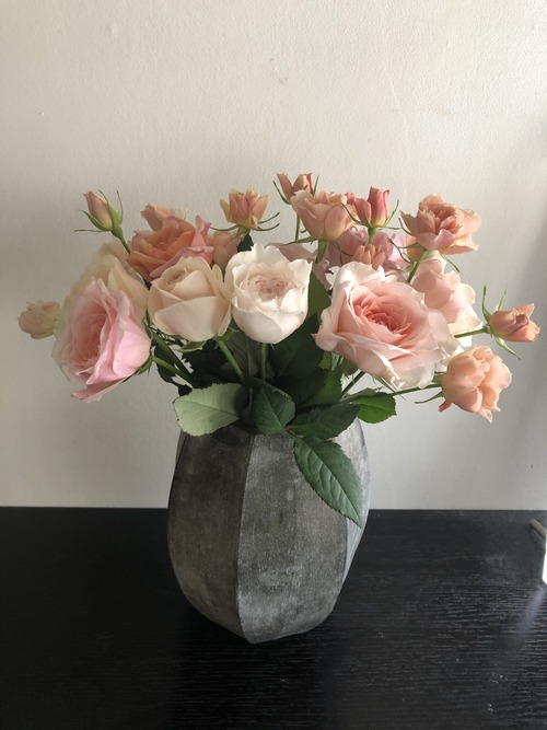 C6E0CCEB-E56B-48DC-84FF-BF6056395CAF