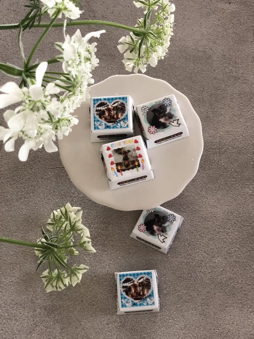 CA4EA3CC-0CB1-464F-AFDE-36DB1434FB16