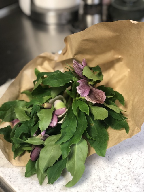 74DCC4A8-56AC-4C63-BACC-1508CB3F9025