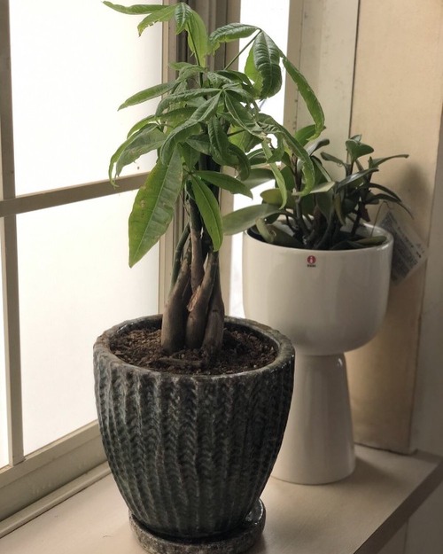 0EFDC8F0-A53F-4B6E-A76F-67C119CC4621