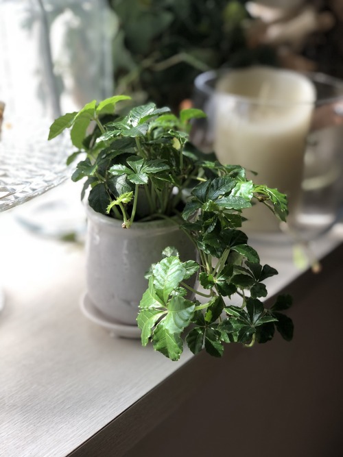 E92E5E51-04C2-4E6D-8BE8-33EE0358E49A