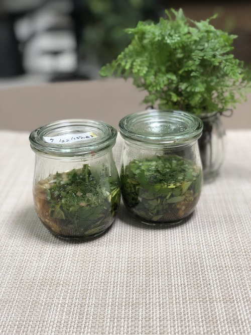 93891355-F235-4492-BD89-E3696993A88A