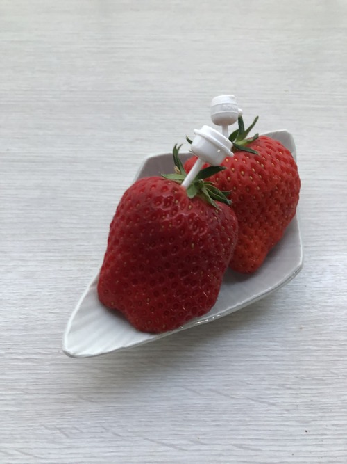 4C6EEA7D-860D-4F40-951B-A464CD3CE3B9