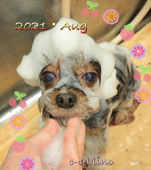 045112EE-80F6-4D0E-A604-52751125D78E