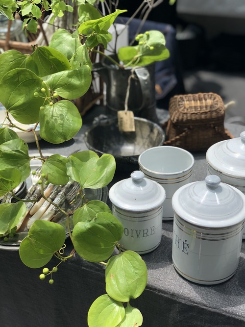 FF7CBE33-2BBC-451C-9460-322D44BD366E