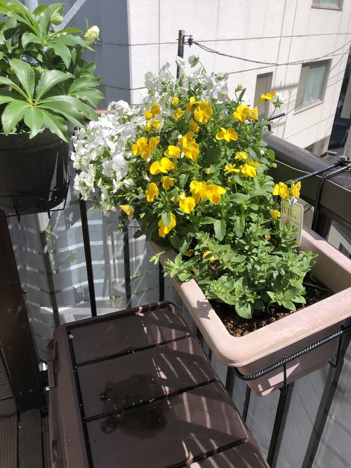 3C8384C1-03A4-40ED-9C5F-F22C9EEA9511