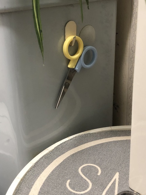 FFE77651-0639-4319-8D70-A80D0DF14A1B