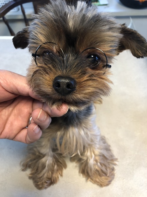 BA0F220D-F9BE-4BCC-B0FB-EB9FF51ADA05