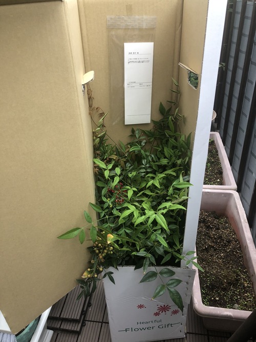 1B6BE09E-85BB-4704-AA00-DBB3EF306523