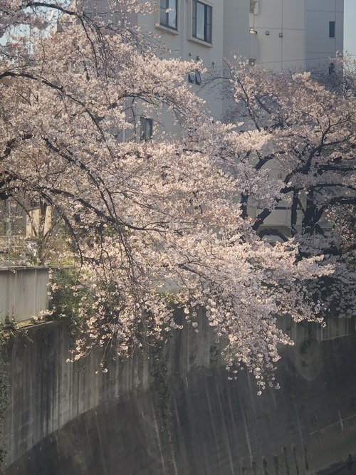 86D9B21B-BA98-4411-99FE-1E11CBDF2F9F