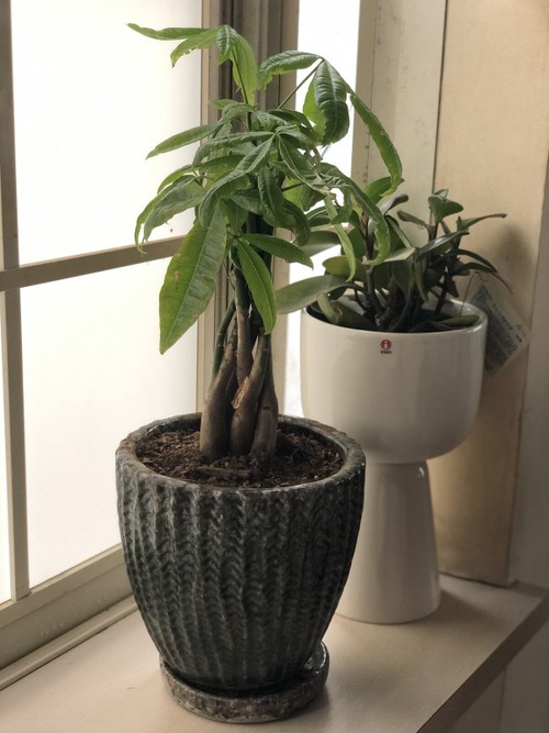 A452A7D9-BE54-48A4-8A2B-5CA1584A6496