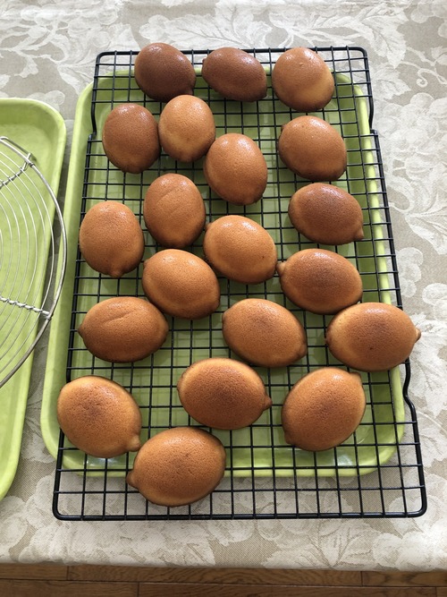 E80EC48E-C456-4EE5-8F45-4D3D864465F1