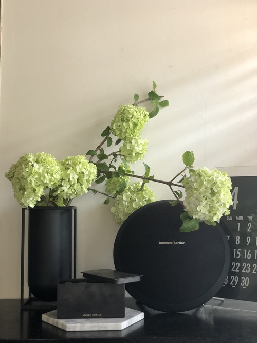 41D5EFC0-01AD-4488-A9ED-0A389608CE53