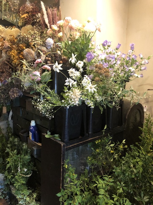 A9E2514D-3378-4A61-9435-6BE446521F78