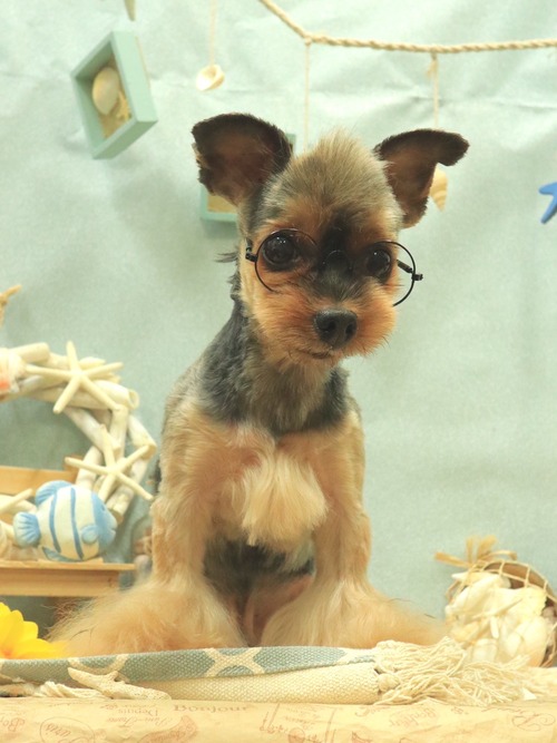 53D1FC23-5EDB-4023-963B-9AEDB187A9C1