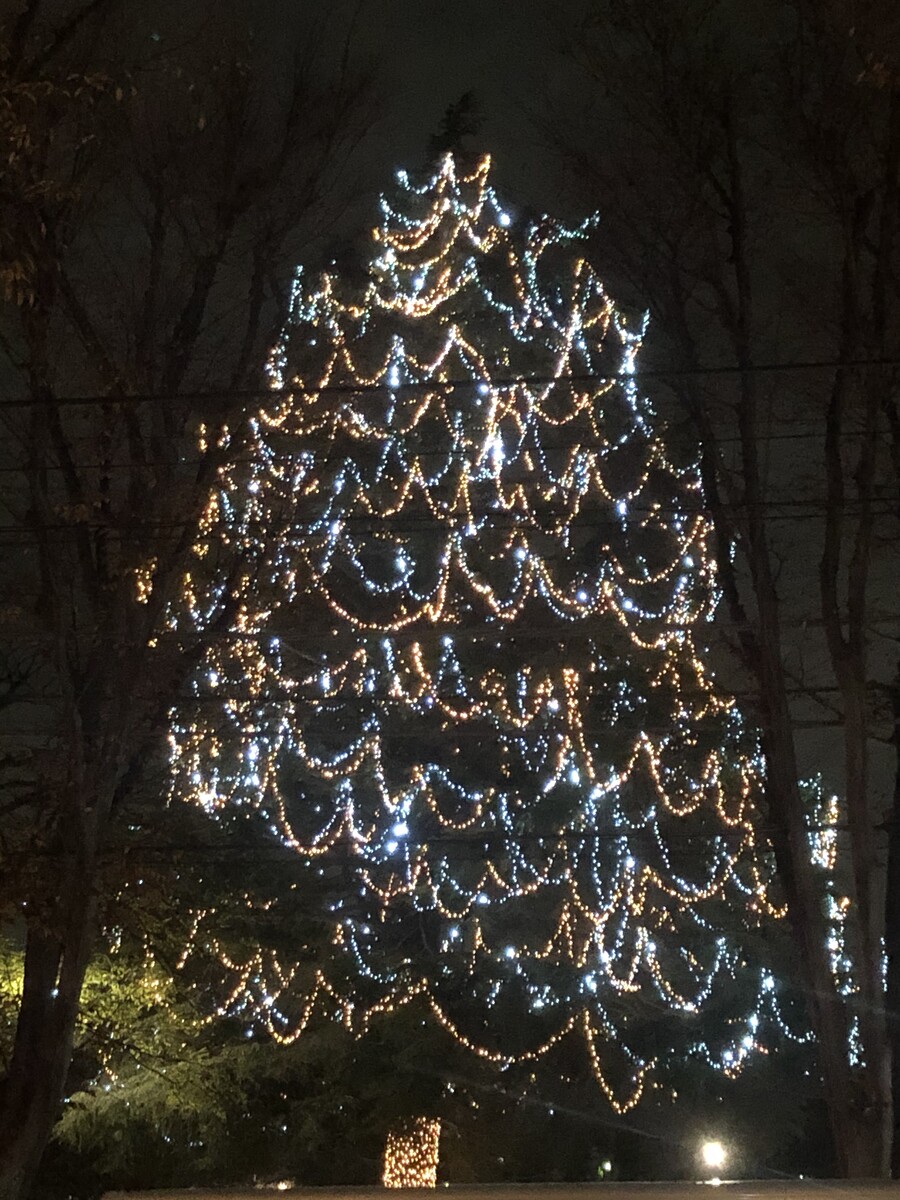 コストコで買ったご飯のお供がたまらない お買い物公開 シンプルに憧れて Powered By ライブドアブログ