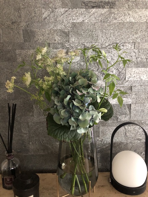 69327738-D49C-41C2-8862-D20B4D9C2811