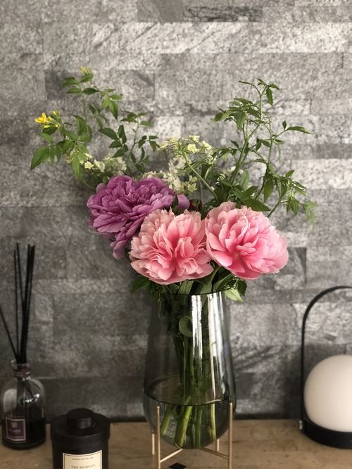 EEABE823-C12B-46B9-9AC5-40B95DA4D174